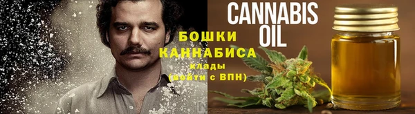метадон Каменка