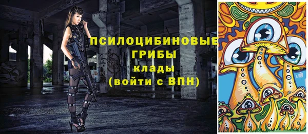 мяу мяу мука Каменногорск