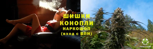 метадон Каменка