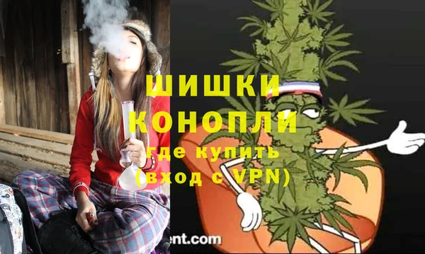 метадон Каменка